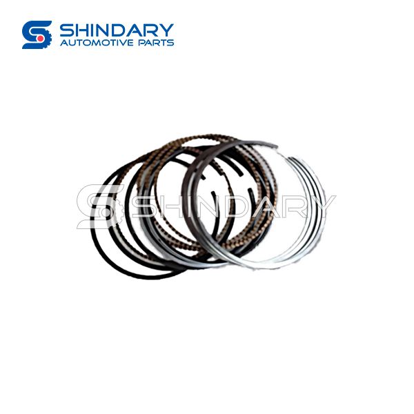 Piston ring D4G15B-BJ1004030 +0,50 for CHERY TIGGO 2